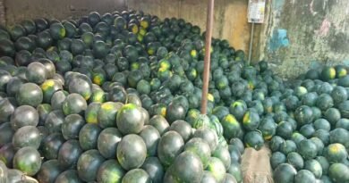 उन्हाच्या काहिलीत थंड पेयांना मागणी वाढली; उत्पादन घटल्याने बाजारात महागाई