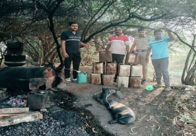 म्हसवड परिसरात हातभट्टी दारूविरोधात पोलिसांची धडक कारवाई; तिघांविरुद्ध गुन्हे दाखल