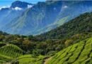पश्चिम घाटाच्या संवर्धनासाठी केंद्राचा महत्त्वपूर्ण निर्णय; महाराष्ट्रातील सह्याद्रीला मिळणार अधिक संरक्षण पश्चिम घाटाच्या संवर्धनासाठी केंद्राचा महत्त्वपूर्ण निर्णय; महाराष्ट्रातील सह्याद्रीला मिळणार अधिक संरक्षण