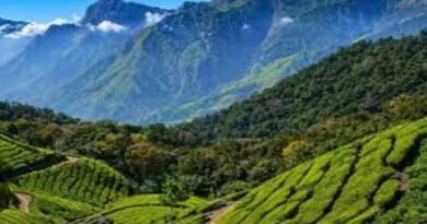 पश्चिम घाटाच्या संवर्धनासाठी केंद्राचा महत्त्वपूर्ण निर्णय; महाराष्ट्रातील सह्याद्रीला मिळणार अधिक संरक्षण पश्चिम घाटाच्या संवर्धनासाठी केंद्राचा महत्त्वपूर्ण निर्णय; महाराष्ट्रातील सह्याद्रीला मिळणार अधिक संरक्षण
