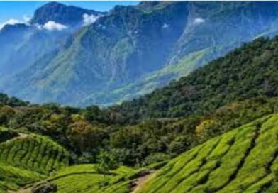 पश्चिम घाटाच्या संवर्धनासाठी केंद्राचा महत्त्वपूर्ण निर्णय; महाराष्ट्रातील सह्याद्रीला मिळणार अधिक संरक्षण पश्चिम घाटाच्या संवर्धनासाठी केंद्राचा महत्त्वपूर्ण निर्णय; महाराष्ट्रातील सह्याद्रीला मिळणार अधिक संरक्षण