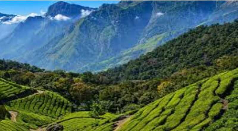 पश्चिम घाटाच्या संवर्धनासाठी केंद्राचा महत्त्वपूर्ण निर्णय; महाराष्ट्रातील सह्याद्रीला मिळणार अधिक संरक्षण पश्चिम घाटाच्या संवर्धनासाठी केंद्राचा महत्त्वपूर्ण निर्णय; महाराष्ट्रातील सह्याद्रीला मिळणार अधिक संरक्षण